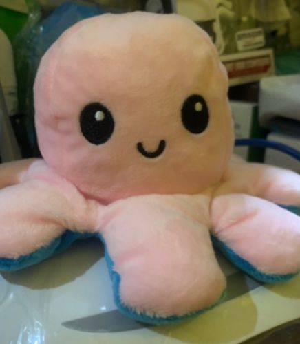 Customer photo review of Aster Reversible Stuffed Octopus