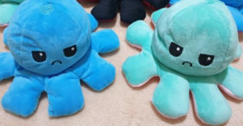 Customer photo review of Aster Reversible Stuffed Octopus