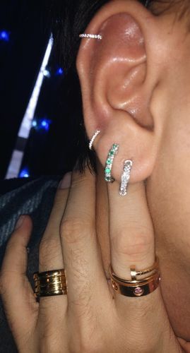 Customer photo review of Micro Paved Gems Hinged Segment Ring