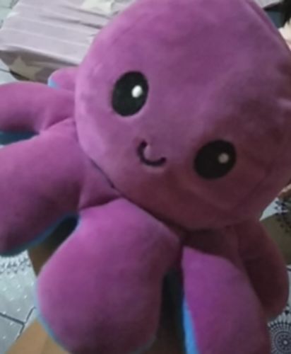 Customer photo review of Aster Reversible Stuffed Octopus