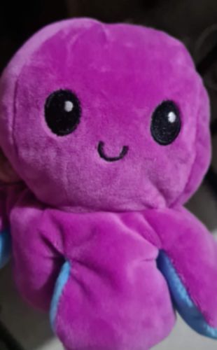Customer photo review of Aster Reversible Stuffed Octopus