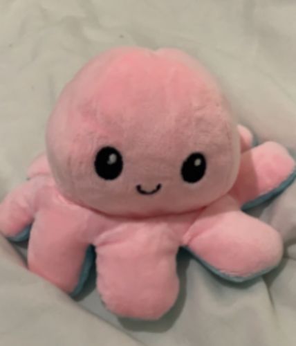 Customer photo review of Aster Reversible Stuffed Octopus