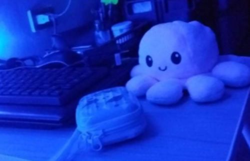 Customer photo review of Aster Reversible Stuffed Octopus