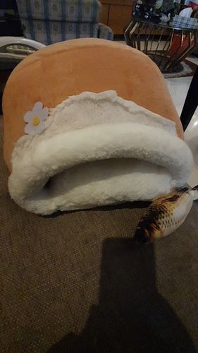 Customer photo review of KUSCHELTOPF - Das süße Tierbettchen