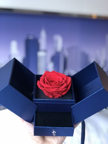 Customer photo review of Royal Blue Forever Blossom Preserved Rose Jewelry Box
