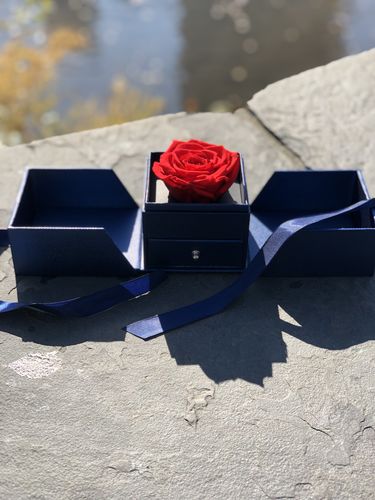 Royal Blue Forever Blossom Preserved Rose Jewelry Box Abigail Boutique