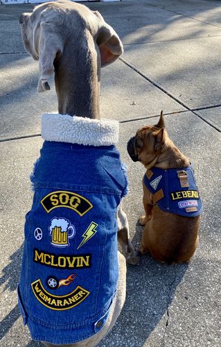 denim dog vest