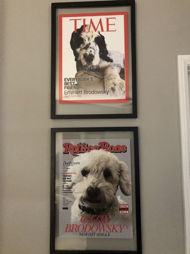 Customer photo review of Posing Pig Custom Print