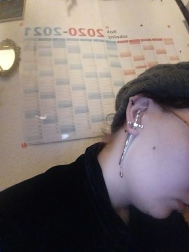 Customer photo review of Blood Sworn Dagger Stud Earrings