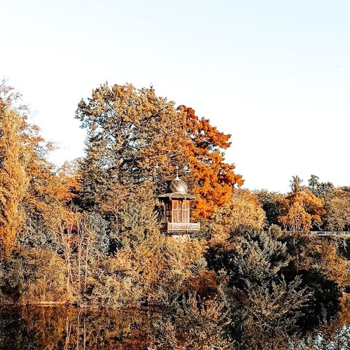 Customer photo review of MASTER COLLECTION MOBILE (12 PACKS)