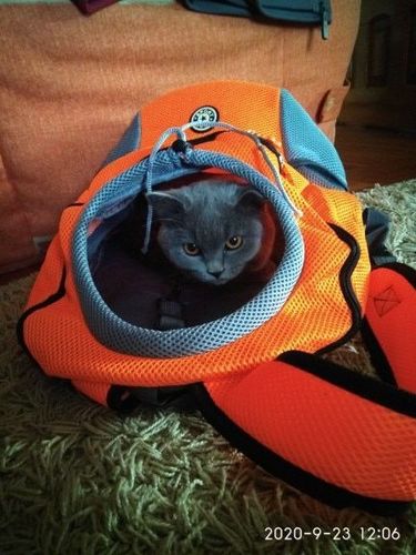 Jennifer  H. review of miiBuddy Dog Backpack +Lifetime Warranty
