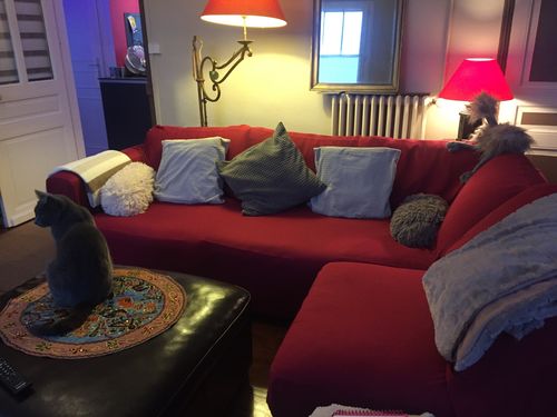 Customer photo review of Red Wine - Housses Extensibles de Fauteuil et Canapé - La Maison des Housses