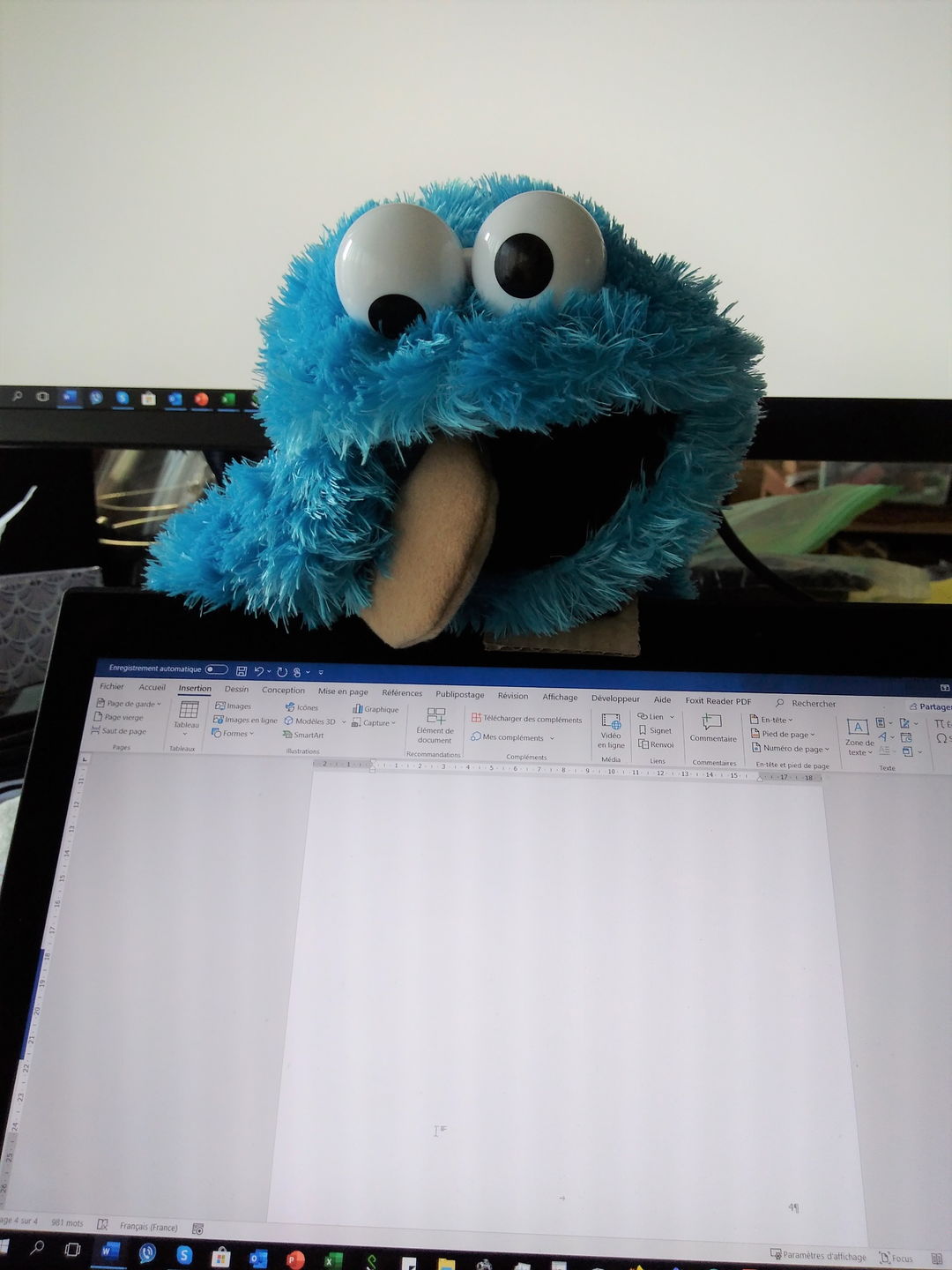 Customer photo review of Cookie Monster Marionnette Sesame Street