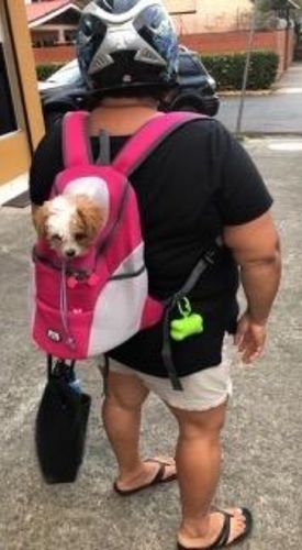 Perry  A. review of miiBuddy Dog Backpack +Lifetime Warranty
