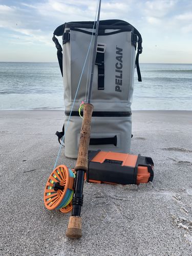 Customer photo review of Pelican™ Dayventure Backpack Soft Cooler