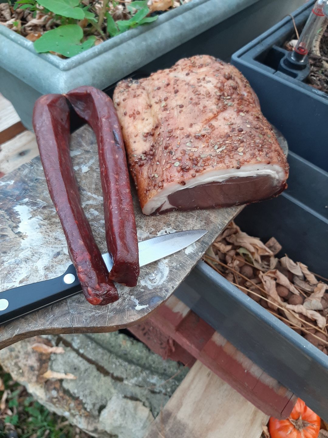 Customer photo review of Faux filet fumé & séché de Sanglier sauvage (Pièce à trancher)