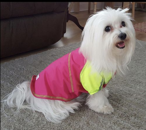 Customer photo review of SOLD OUT - Cooling Sun Tee UPF 50+ Fuchsia