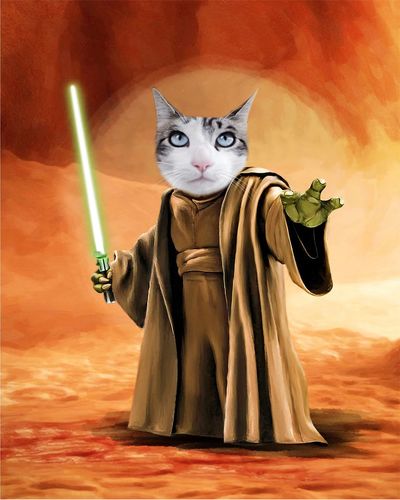 Le Maitre Jedi Portrait Animalier Personnalise Aniportrait