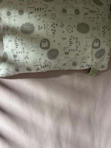 Customer photo review of Hypoallergenic Toddler Pillow with 100% Cotton Pillowcase