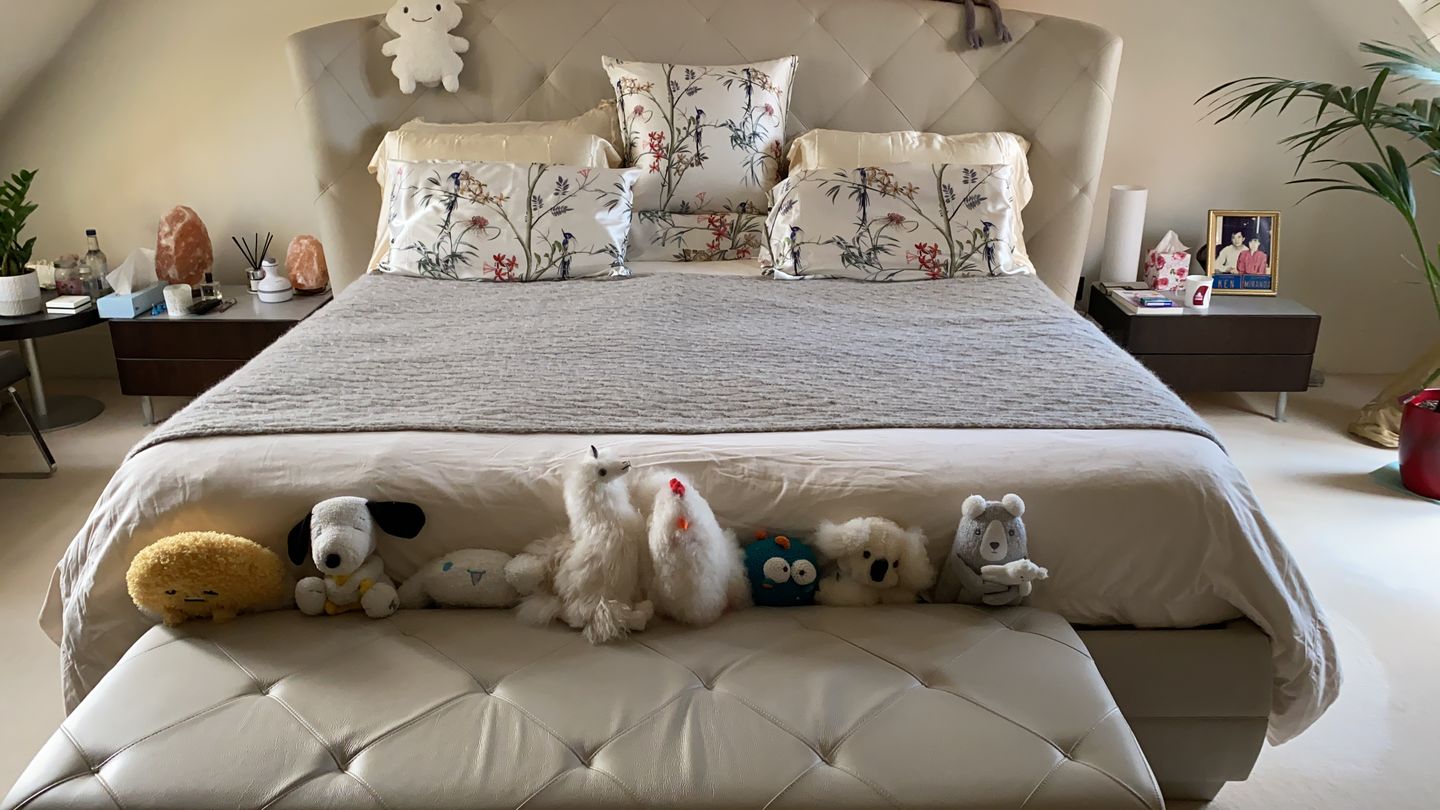 Customer photo review of Hummingbird Pure Silk Pillowcase