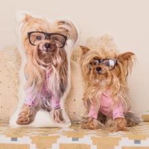 Customer photo review of Personalisiertes Hundekissen™