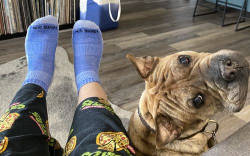 Customer photo review of J.B. Field's "Hiker GX" Colorful 1/4 Low-cut Merino Wool Sock