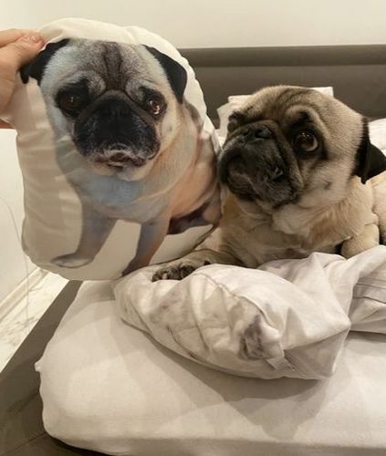 Customer photo review of Personalisiertes Hundekissen™