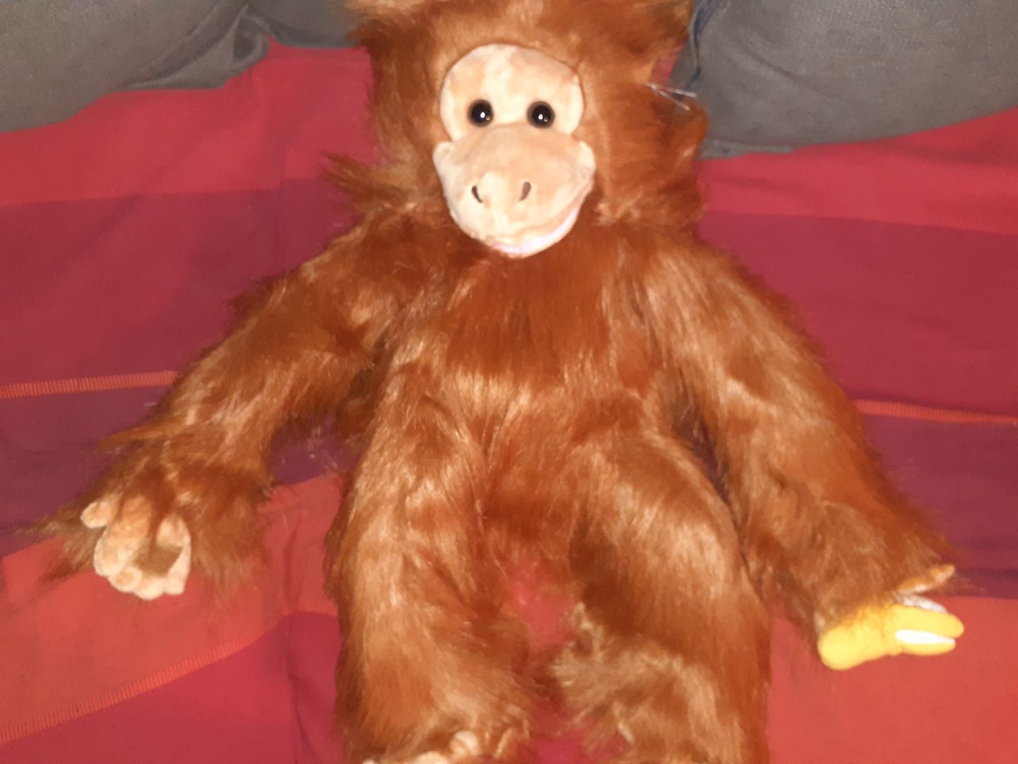 Customer photo review of Orang-Outan  Marionnette