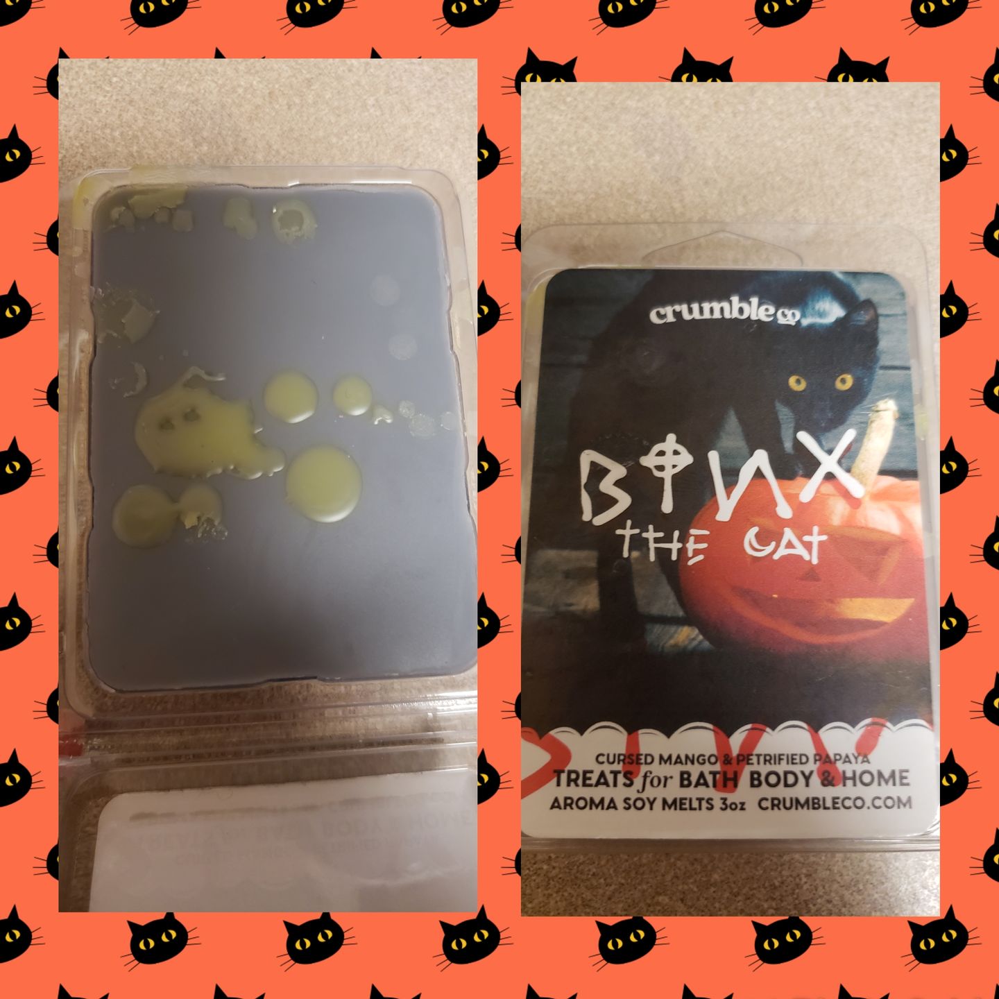 Customer photo review of Binx the Cat Wax Melt