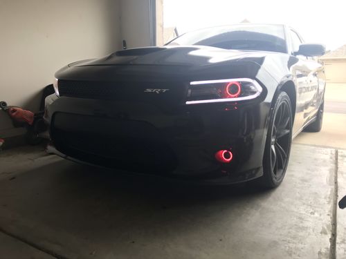 Customer photo review of 2015-2021 Dodge Charger Projector Halo Kit