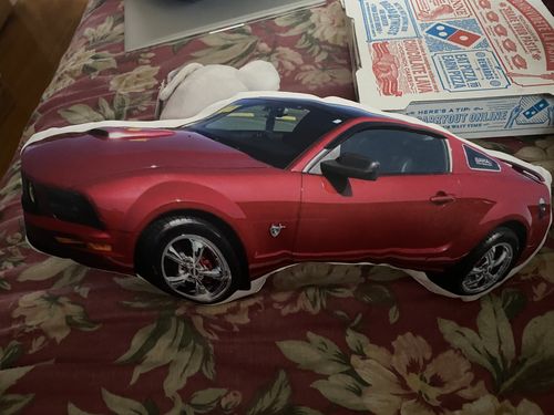 Customer photo review of Create A Custom Car Pillow