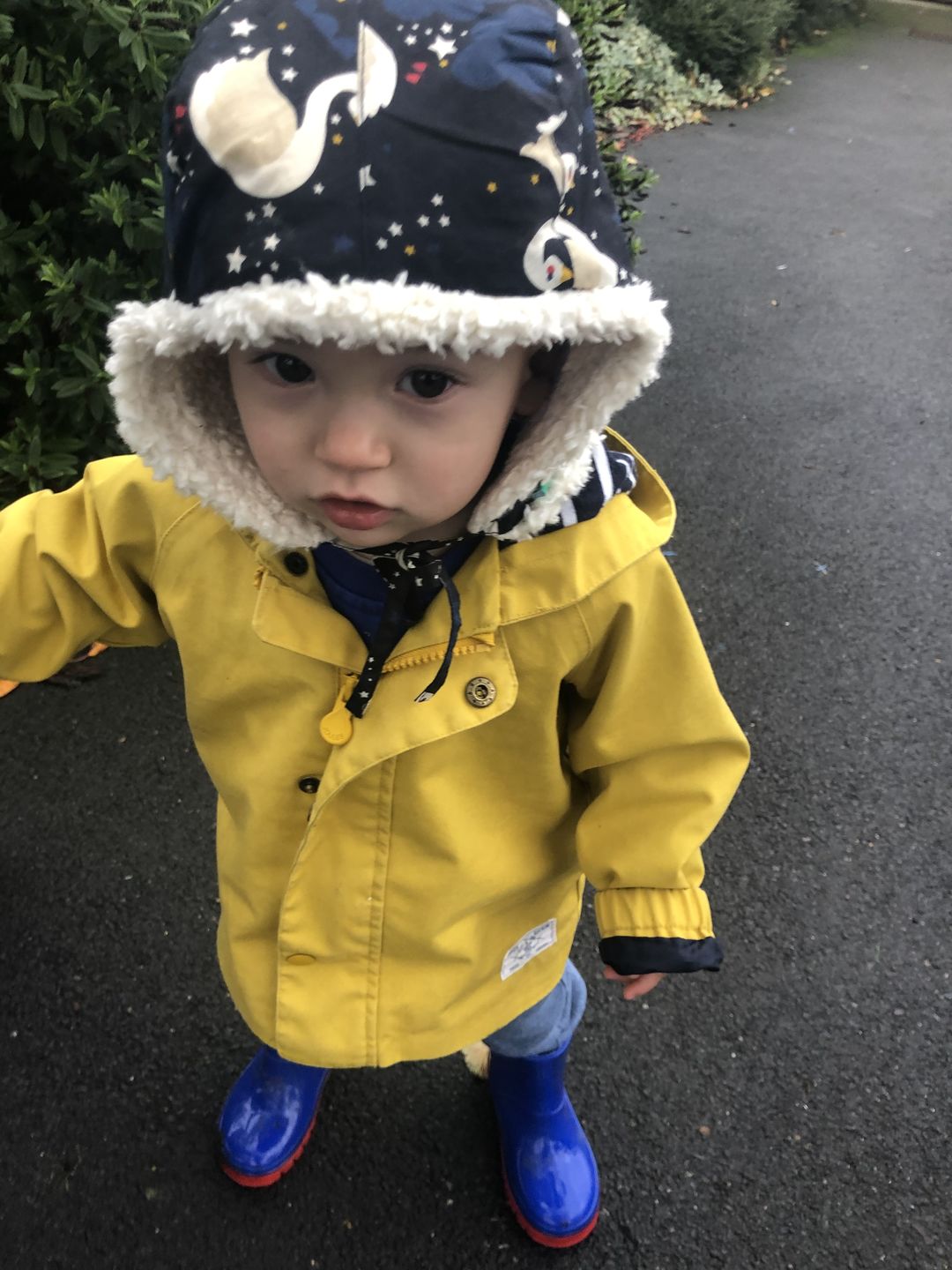 Customer photo review of Night Swimming Sherpa Hat
