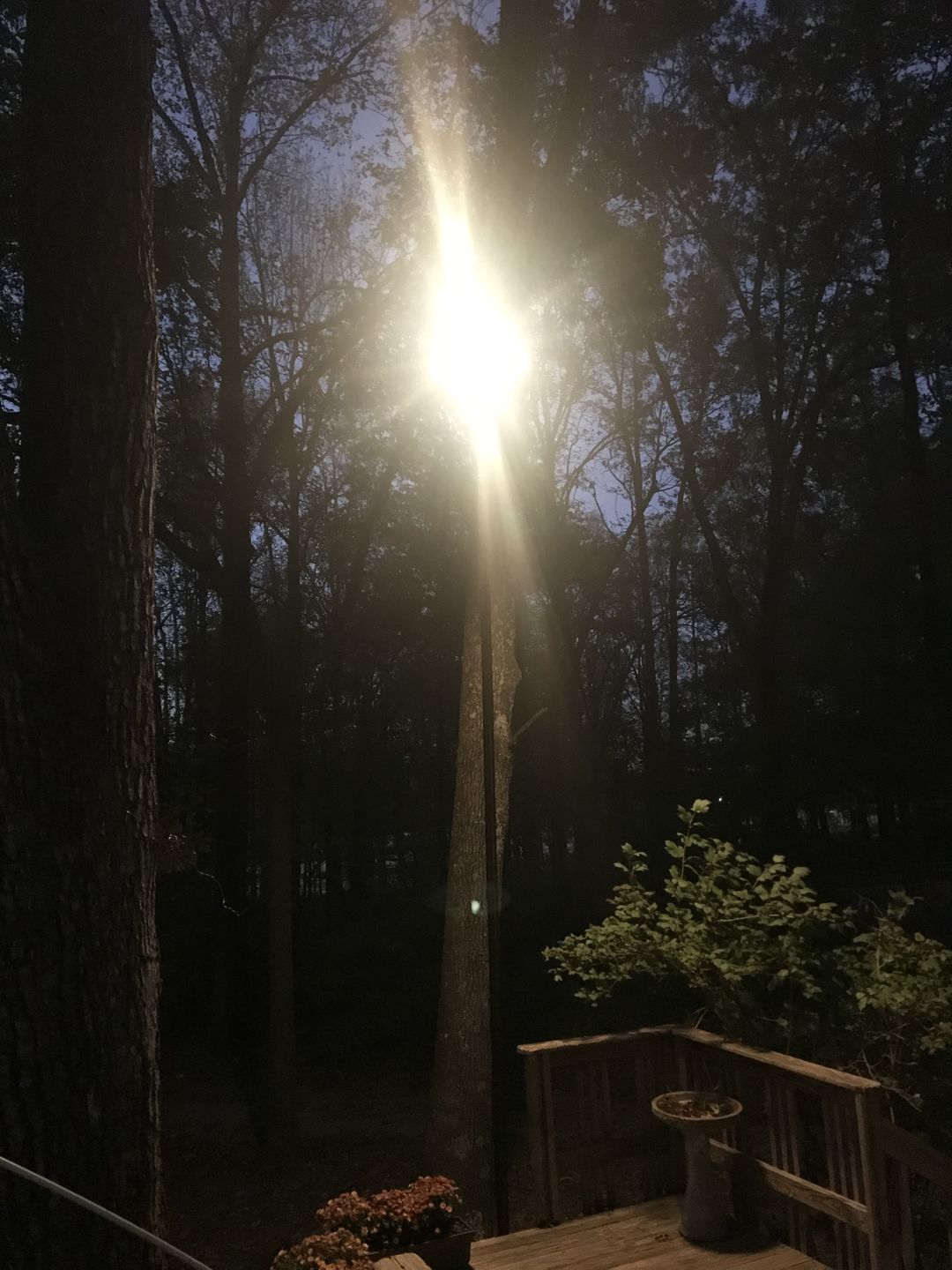 Customer photo review of Extra Long 25FT Single Socket Black Weatherproof Outdoor Pendant Light Lamp Cord - Electrical Swag Light Kit