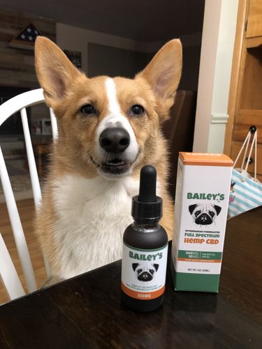 Customer photo review of Bailey's Full Spectrum Hemp Oil For Dogs w/ 300MG Naturally Occurring CBD