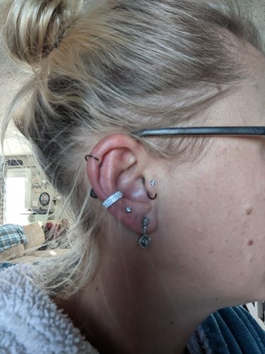 Customer photo review of Triple Stacked Micro Paved Gems Hinged Segment Ring