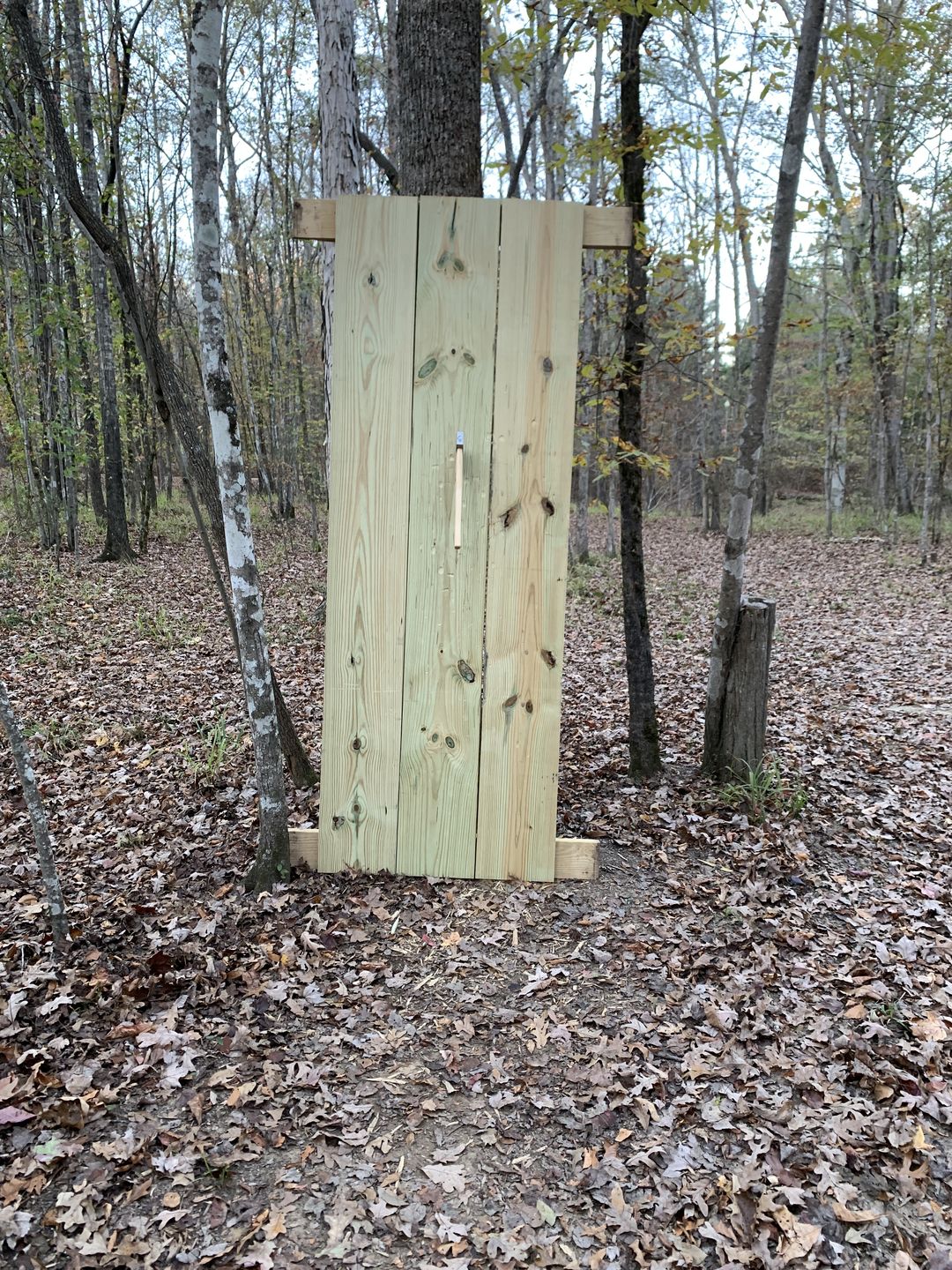 Customer photo review of Ace of Spades Throwing Axe