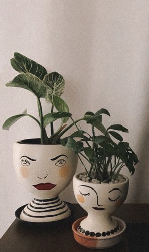 Customer photo review of Miss Planter (SET OF 2)