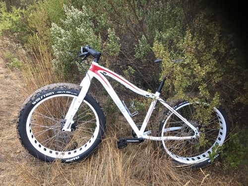 Customer photo review of Wolftrax Alloy Fat Bike 26"