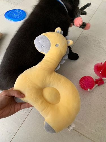 Customer photo review of DOGGY PET - Das süße Kuscheltier für deine Fellnase