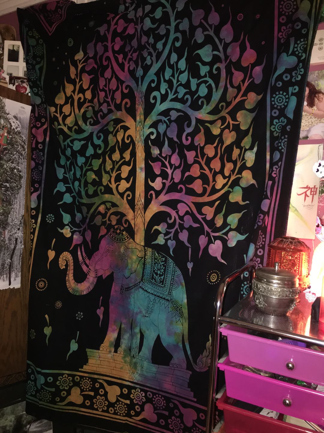 Customer photo review of Indian Dreams Tie Dye Tapestry