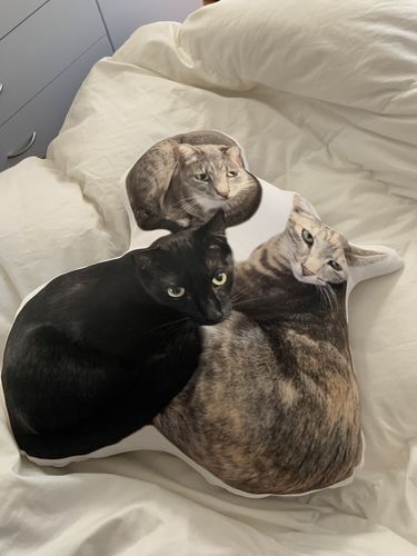 Customer photo review of Create A Custom Object Pillow