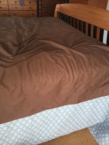 Customer photo review of Silly Legacy® - Thin Reversible Waterproof Protective Cover for Pets and People