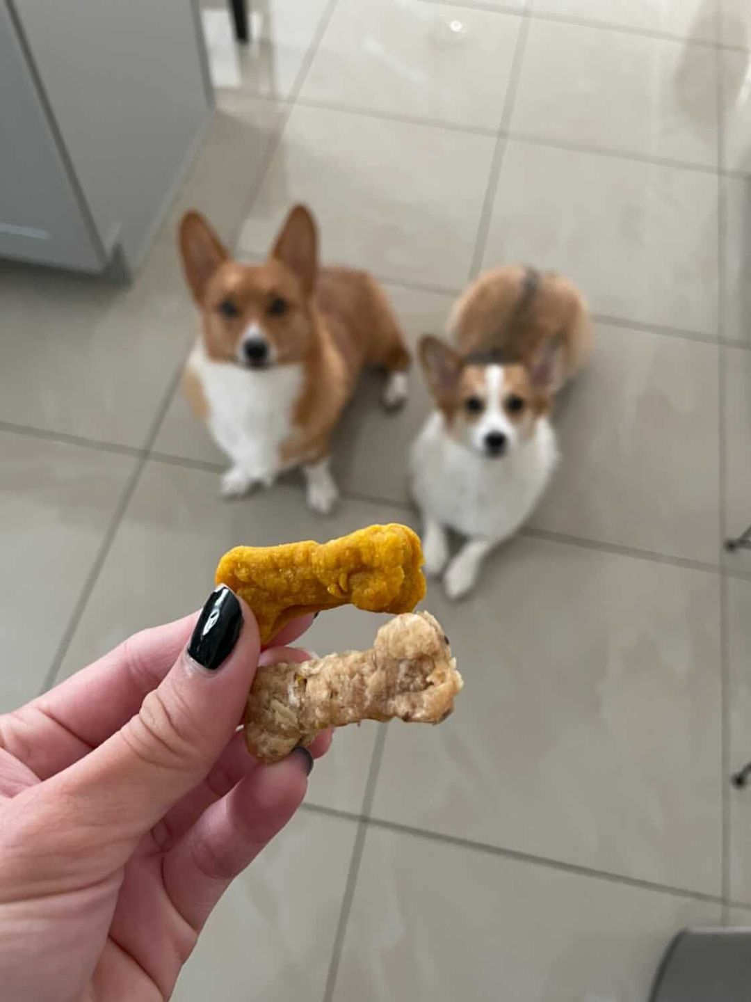 Customer photo review of Dog Treats