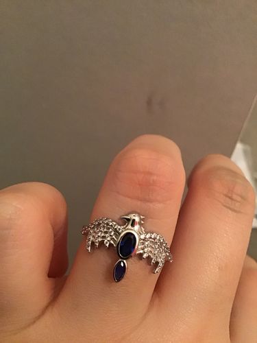 Customer photo review of Harry Potter Hogwarts Candle - Hogwarts House Ring Collection