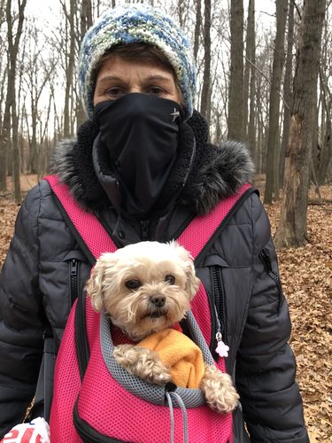 Customer photo review of Petyfy™ Dog Backpack + Lifetime Warranty!