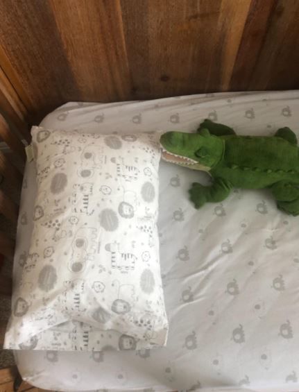 Customer photo review of Hypoallergenic Toddler Pillow with 100% Cotton Pillowcase