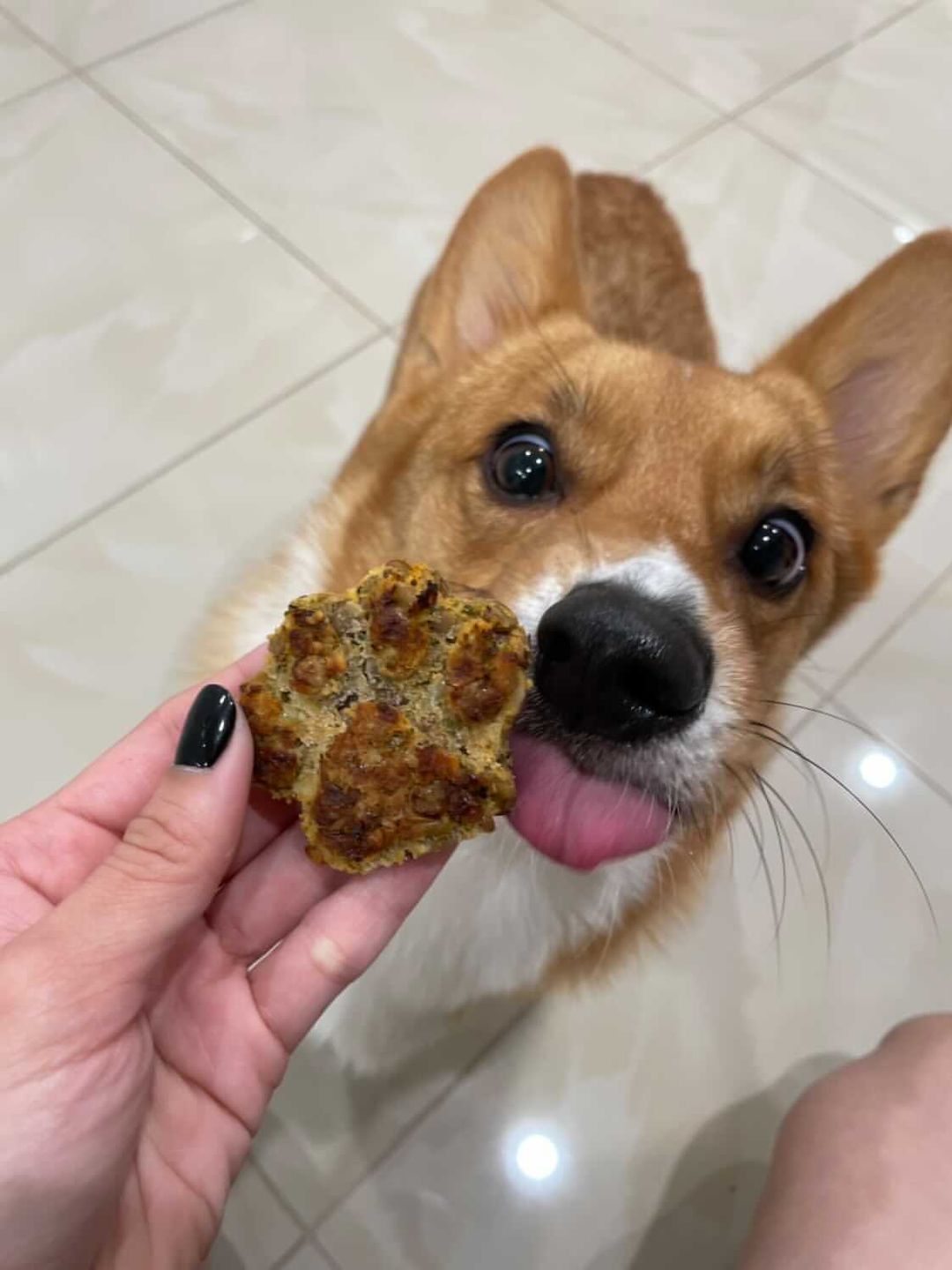 Customer photo review of Vegan Dog Treats