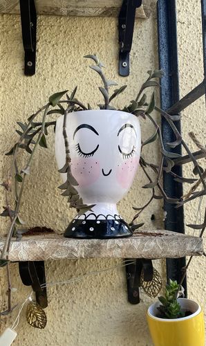 Customer photo review of Eyelash Planter