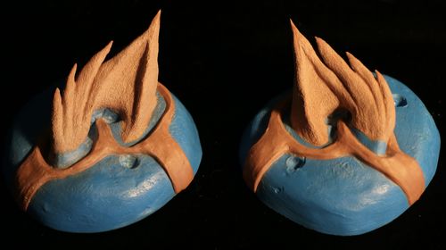 Customer photo review of Axson F40