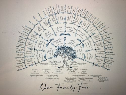 Customer photo review of 'Limited Edition' Olive Family Tree Hamptons Blue